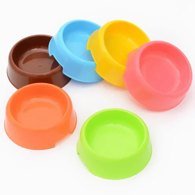 Round and Ready: Pet Bowl for Dogs and Cats