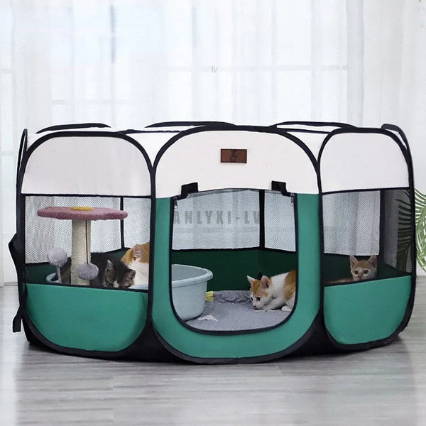 CozyCrate Summer Retreat: Detachable Cat Delivery Room