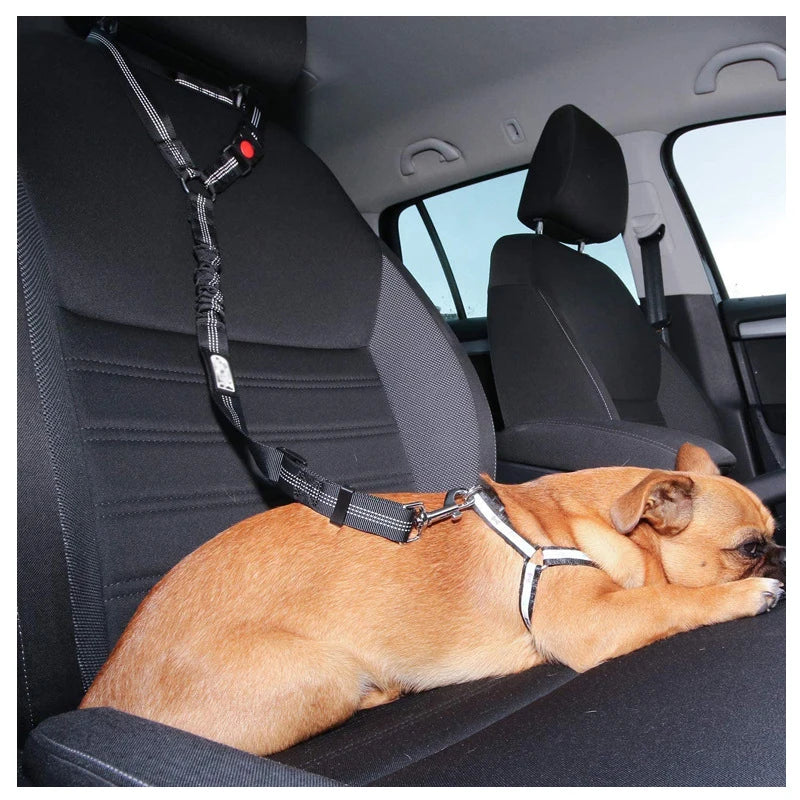DuoSafe HarnessLead: Solid Two-in-One Dog Harness with Leash and Pet Car Seat Belt