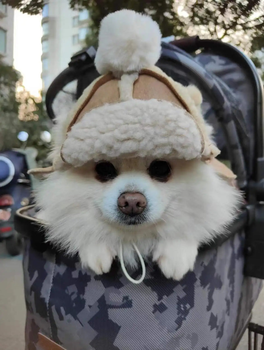 Festive Furry Flurries: Cozy Christmas Hat for Chihuahuas and Petite Pups