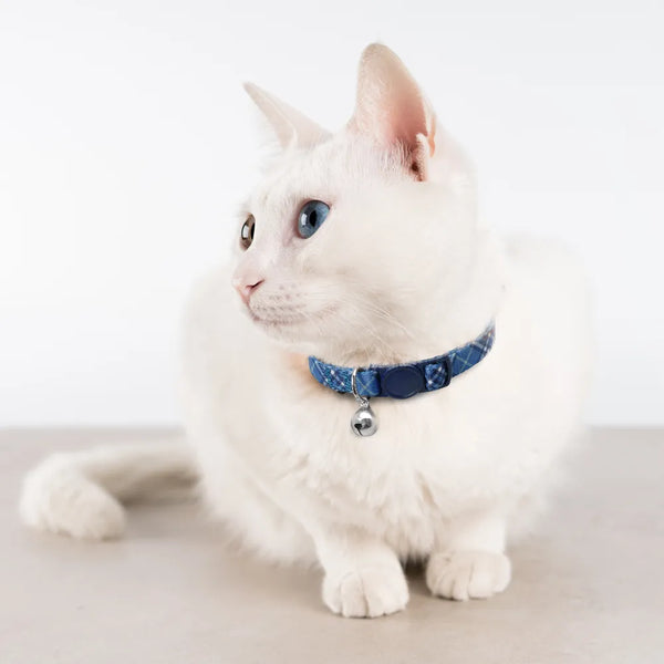 Quick-Release Charm: Soft Nylon Cat Collar with Bell