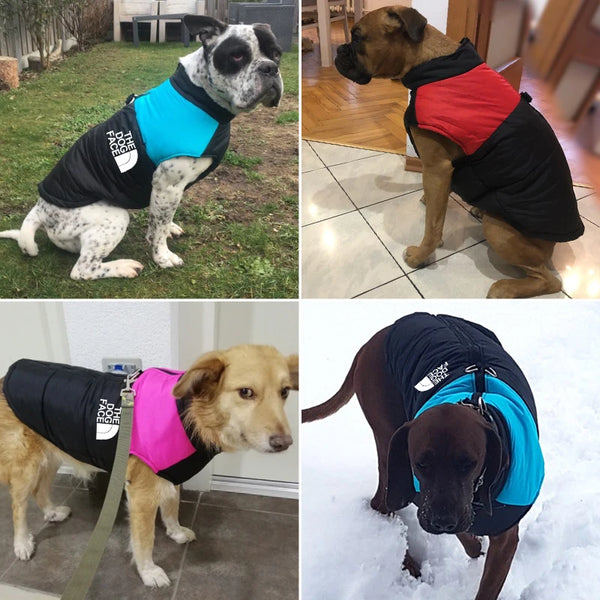 Stylish Warmth: Waterproof Dog Vest with Padded Zipper