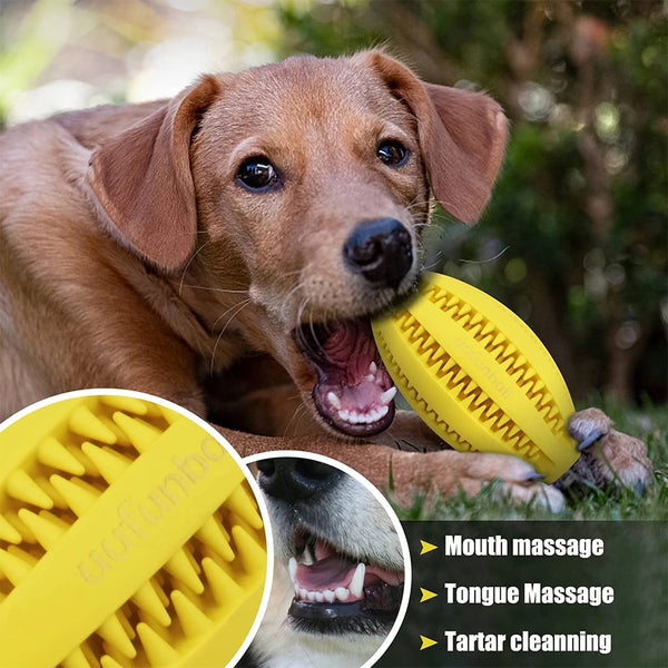 Playful Dental Care: Interactive Rubber Balls for Happy Pups