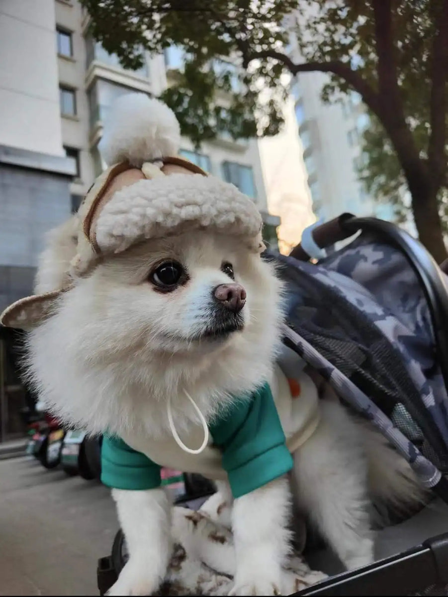 Festive Furry Flurries: Cozy Christmas Hat for Chihuahuas and Petite Pups