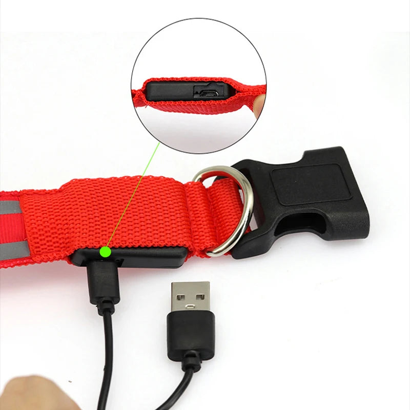 Illuminate Safety: USB Rechargeable LED Dog Collar Light