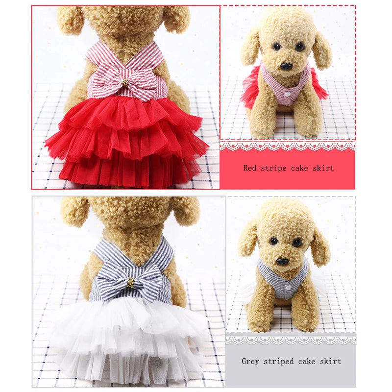 RoyalLace Pet Couture: Dog Dress with Lace Skirt
