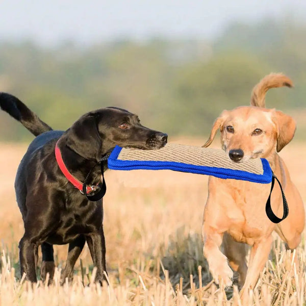 ChewChampion Dog Bite Stick: Interactive and Bite-Resistant Training Toy