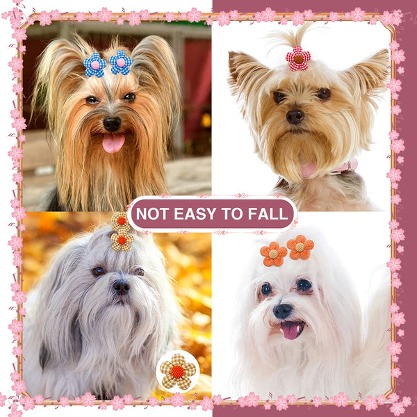 Daisy Delight: Set of Autumn and Winter Dog Hair Bows for Small Breeds