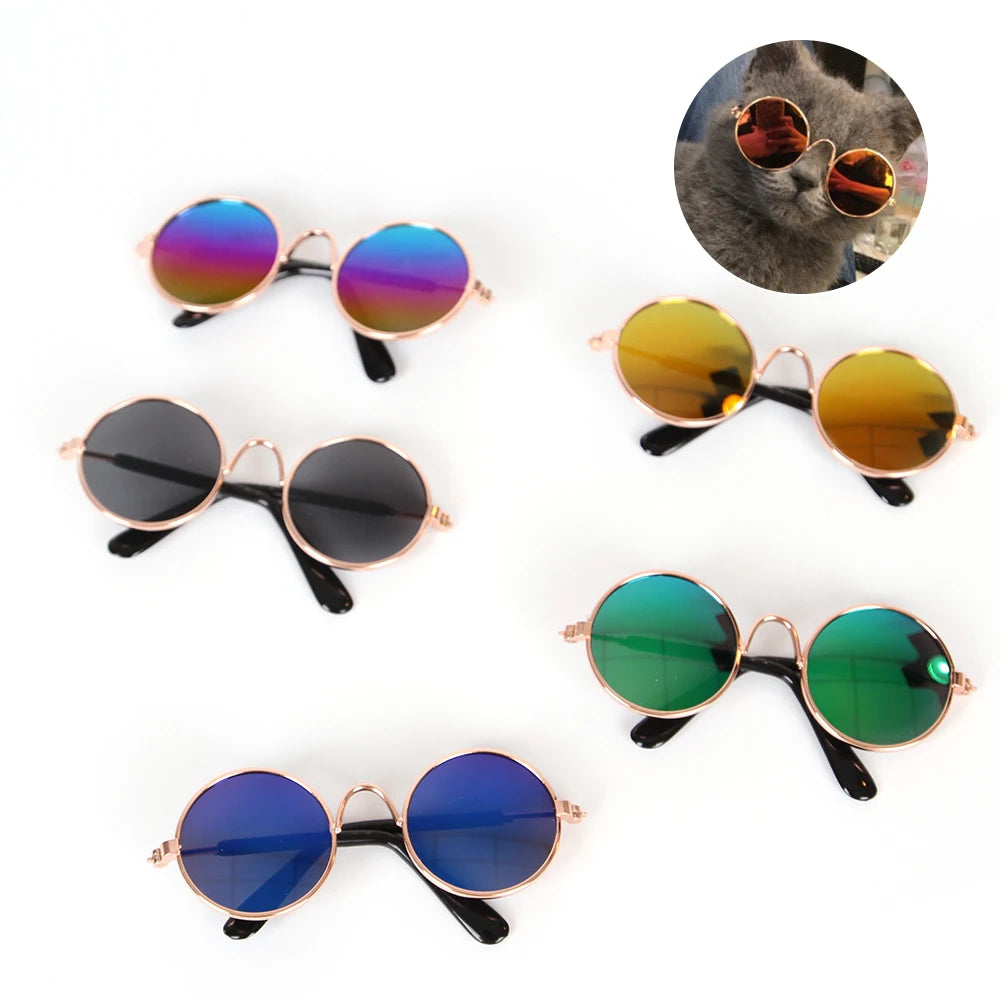 CoolCat Vista Shades: Stylish and Amusing Colored Sunglasses for Pets