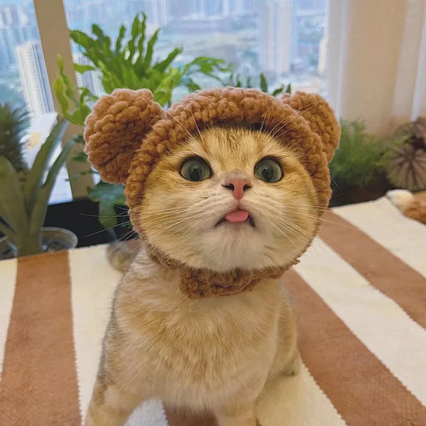 BearHug Cat Cap: Funny Plush Head Cover for Cats