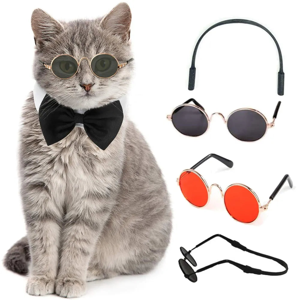 Purr-fectly Styled: WhiskerWear Pet Sunglasses