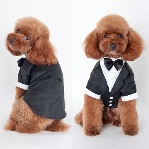 DapperPaws Prince Ensemble: Cute Pet Dog and Cat Wedding Suit
