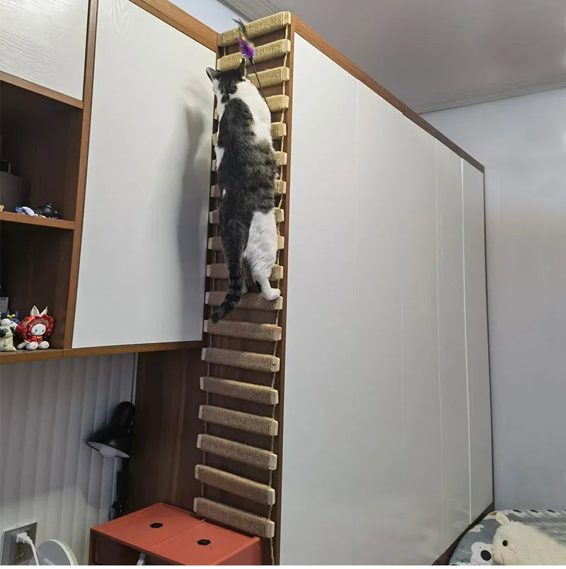 ClimbCraft Cat Adventure Wall: Wall-mounted Cat Wood Sisal Scratcher with Climbing Furniture, Bridge, Rope Steps, and Ladder