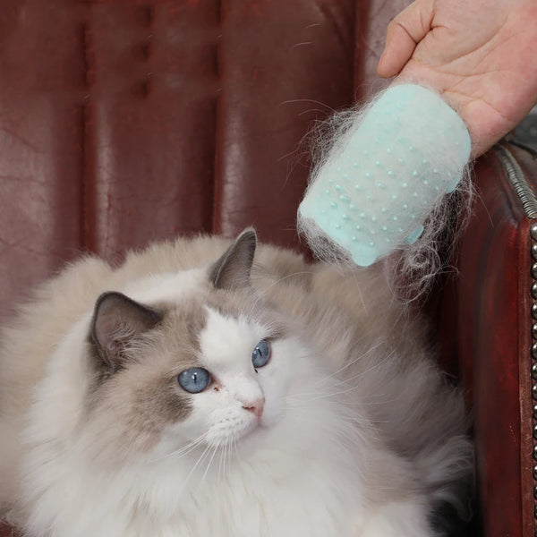 Grooming and Scratching Bliss: Self-Cleaning Cat Massage Comb