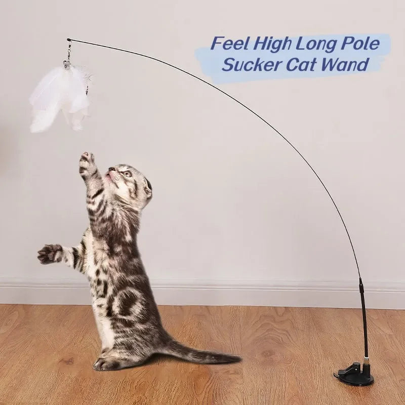 Elevate Your Cat's Playtime and Bond through Enchanting Hunting Exercises