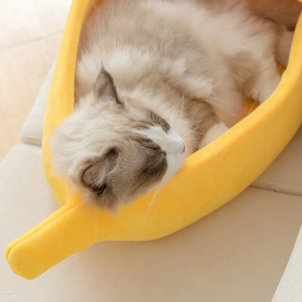 Banana Bunch Bliss: Funny Banana Cat Bed House