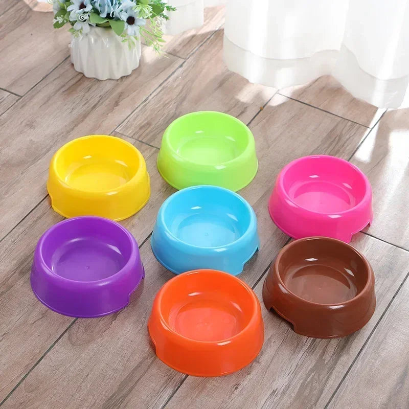 Round and Ready: Pet Bowl for Dogs and Cats