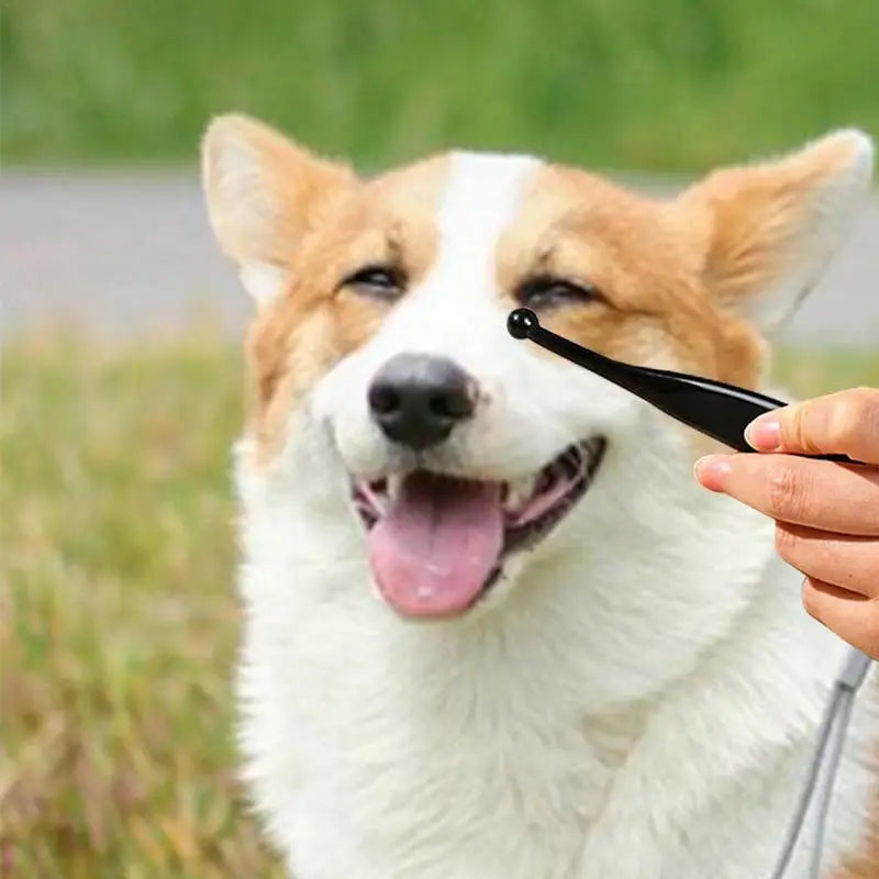 GlintGroom TearCare Brush: Gentle Grooming for Removing Stains and Mucus in Pet Eyes