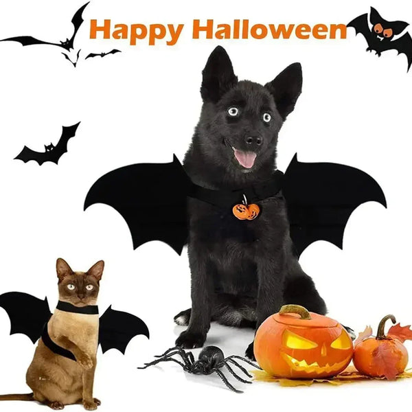 BellBat Pet Costume: Halloween Bat Wings Cat and Dog Clothes
