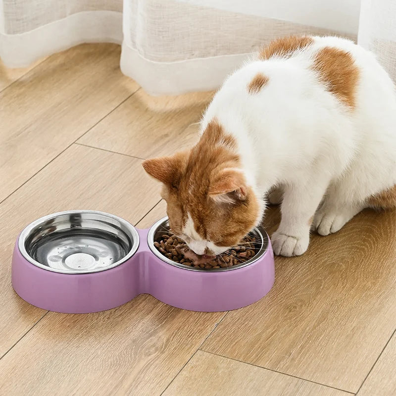 Double Delight: Stainless Steel Pet Food and Water Bowl for Cats and Dogs