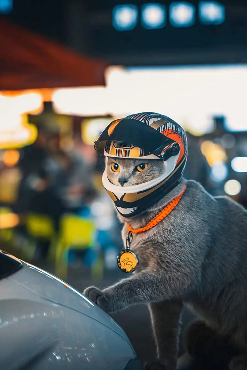 RideSafe Pet Cruiser Helmet: Full Face Motorcycle Helmet for Cats