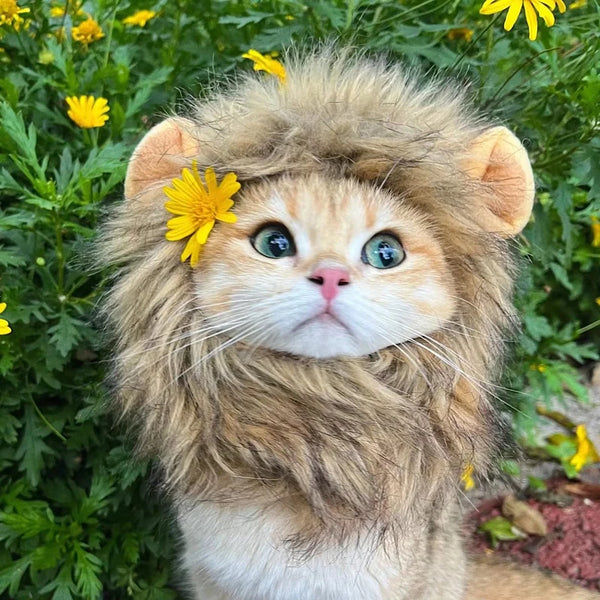 PurrKing Mane Marvel: Cute Lion Mane Cat Wig