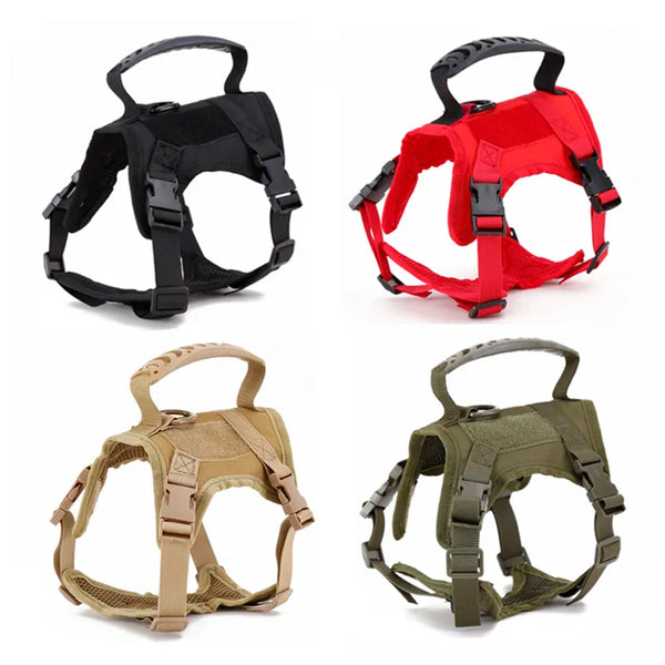 Secure Adventures: Tactical Cat Harness with Adjustable Nylon