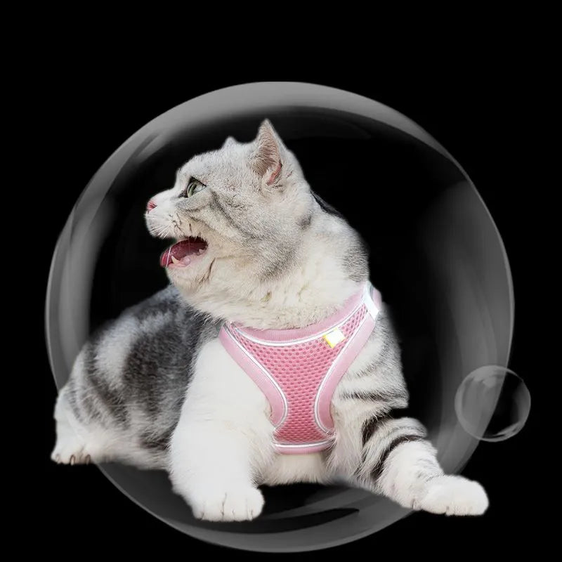 Escape-Proof Adventures: Adjustable Mesh Cat Harness and Leash Set for Small Dogs and Cats