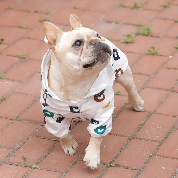 PuddlePaw Protector: Stylish Waterproof Raincoat for Trendsetting Tails