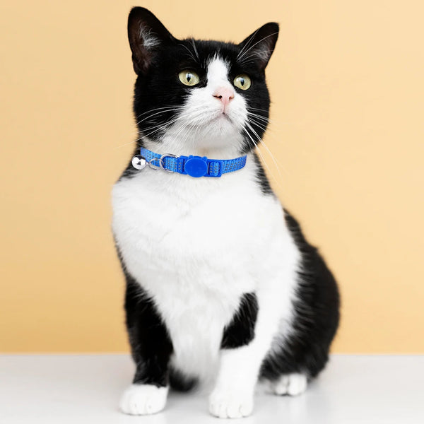 Safe and Stylish: Adjustable Reflective Nylon Cat Collar with Bell