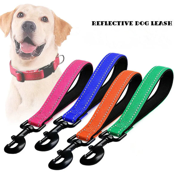 ReflectiveSafe Leash: Short Nylon Dog Leash with Reflective Features