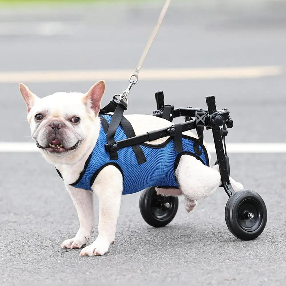 MobilePaws AssistWheels: Adjustable Pet Wheelchair Cart for Cat and Dog Rehabilitation