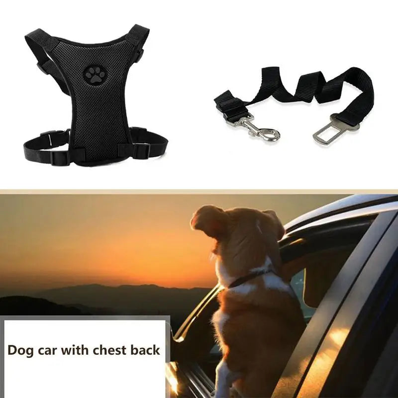 AeroSafe MeshStride: Breathable Mesh Dog Harness with Adjustable Straps, Leash, and Automotive Seat Safety Belt