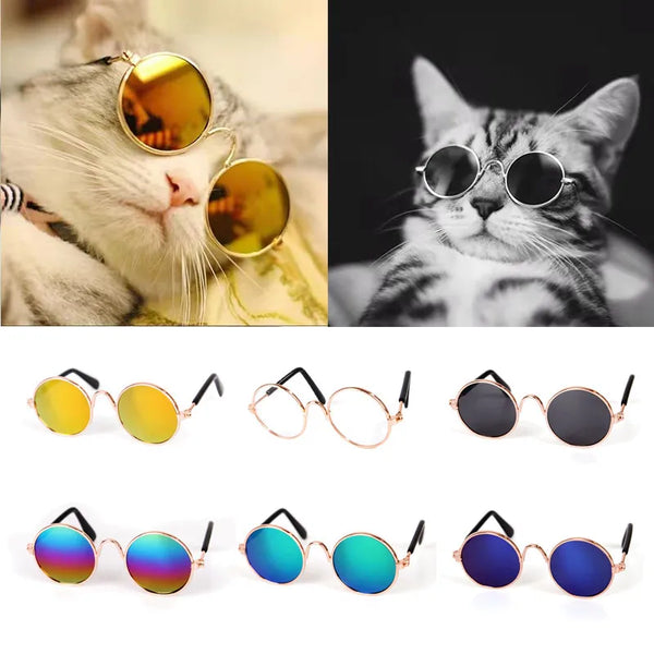 Pawsitively Stylish: Cute Vintage Round Cat Sunglasses for Small Dogs and Cats