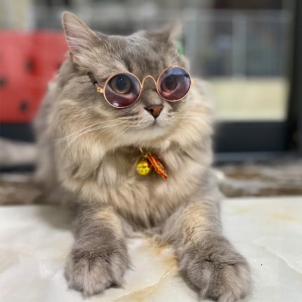 RetroGaze Pet Shades: Vintage Round Cat Sunglasses for Dogs and Kittens