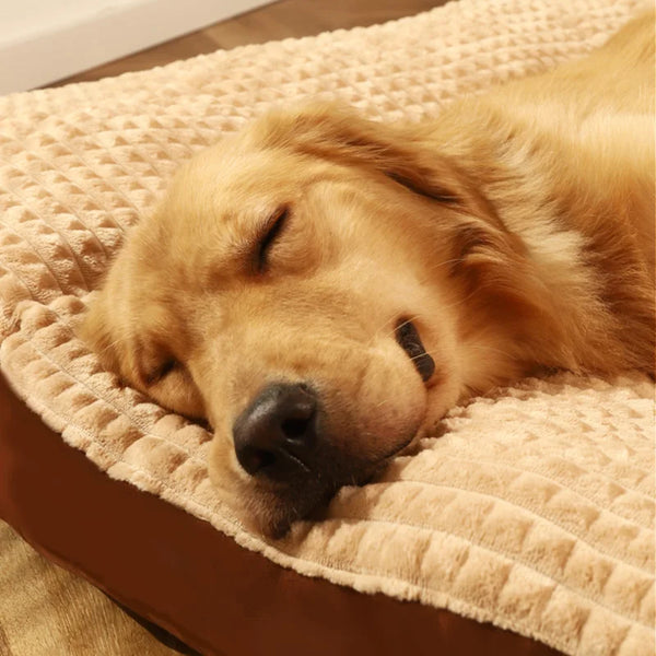 Cozy Slumber Haven: Warm Dogs Sleeping Bed with Soft Fleece Pet Blanket