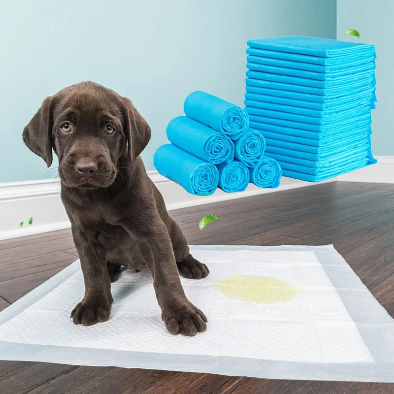 PawPerfect Care: 10-Pack Ultra-Absorbent Disposable Diapers for Dogs and Cats