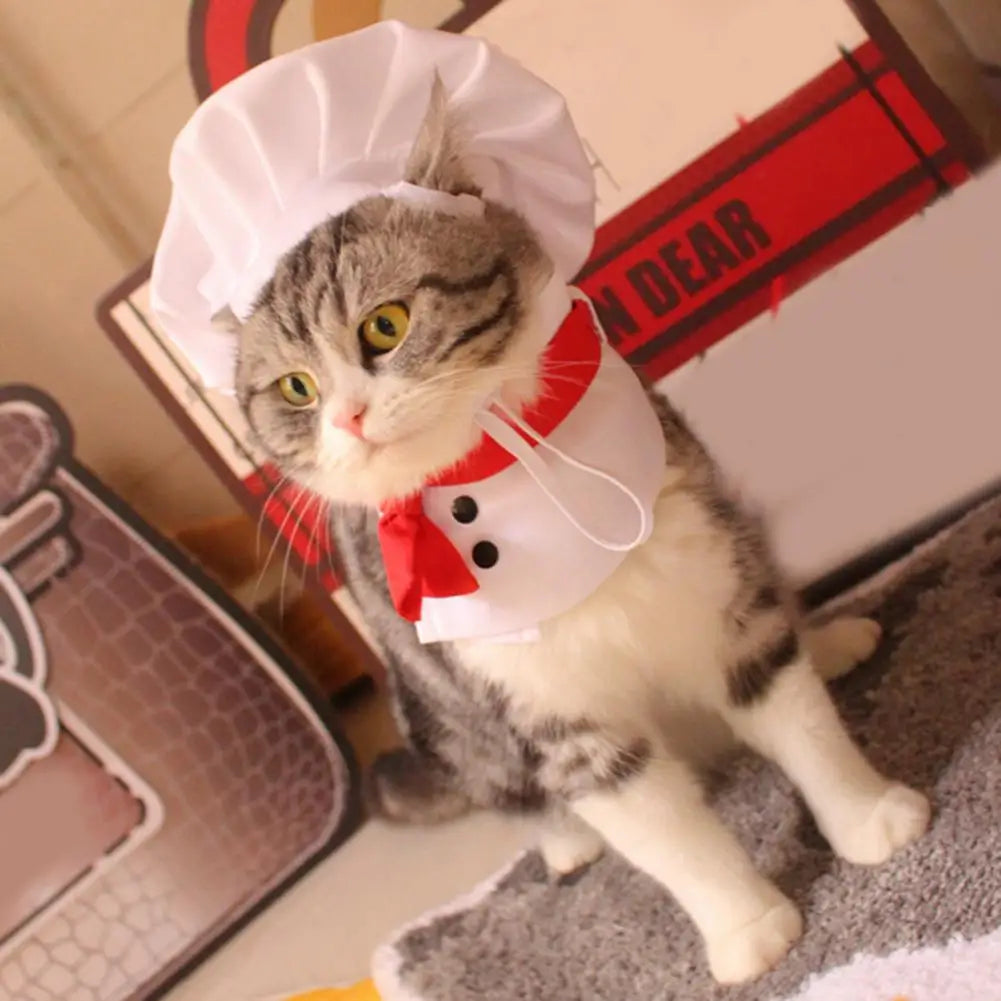 PawChef Ensemble: 1 Set Pet Hat with Soft Buckle Adjustment