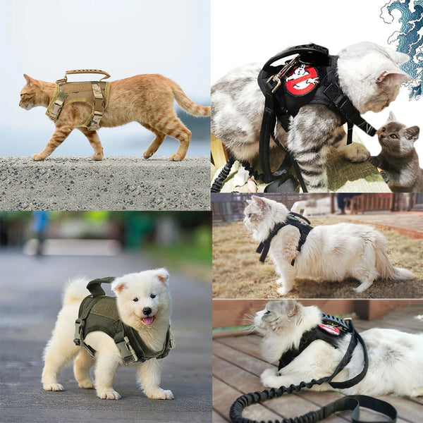 Tactical Training: Adjustable Cat Harness Vest with Leash