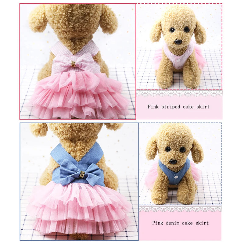 RoyalLace Pet Couture: Dog Dress with Lace Skirt